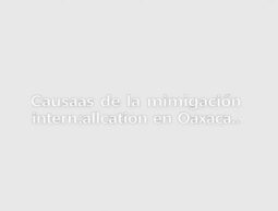 Causas de la migración internacional en Oaxaca