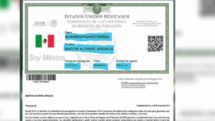 Consulta tu CURP Gratis